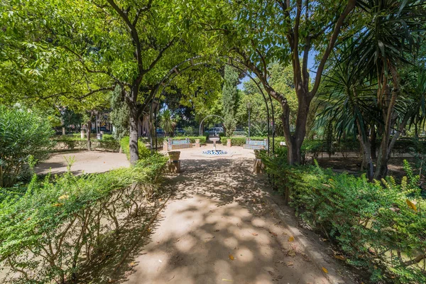 Gardens Catalina Rivera Seville Andalusia Spain — Stock Photo, Image