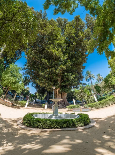 Giardini Della Catalina Rivera Siviglia Andalusia Spagna — Foto Stock