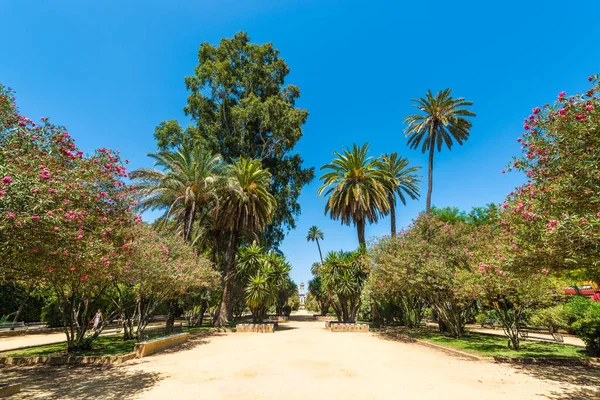 Seville Julio 2017 Jardines Murillo Sevilla Andalucía España — Foto de Stock