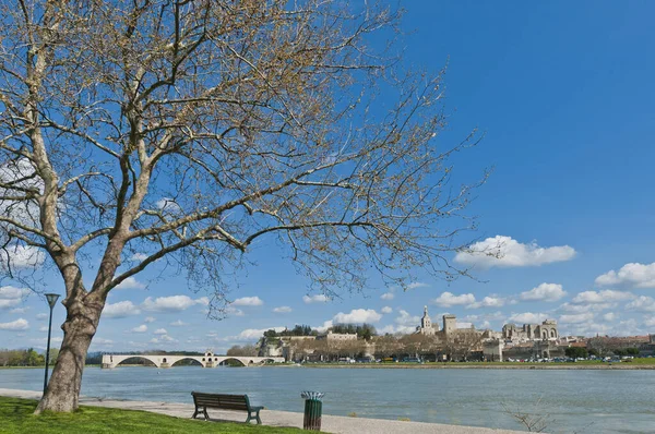 Skyline Avignon Vue Autre Rive Rhône France — Photo