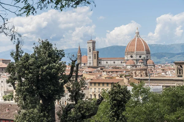 Basilica Santa Maria Del Fiore Bazilika Svaté Marie Květina Hlavním — Stock fotografie