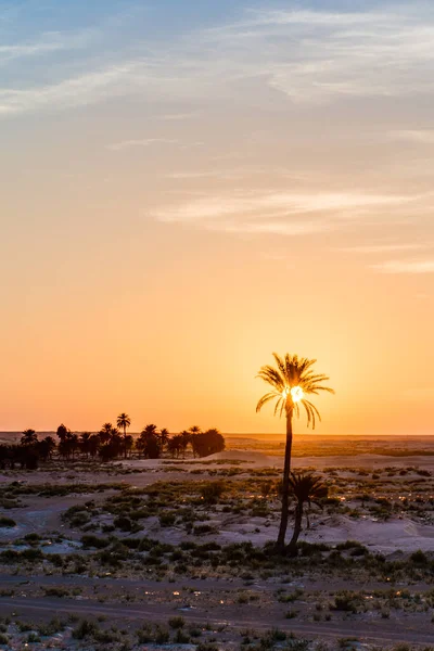 Ανατολή Ηλίου Στην Έρημο Κοντά Douz Στο Κεμπιλί Τυνησία — Φωτογραφία Αρχείου