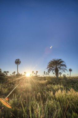 el palmar national park (parque nacional el palmar), Sunrise Arjantin'in Milli Parklar, entre rios, arasında iki nokta üst üste şehirler ve concordia il Merkezi batısında yer alan aşağıdakilerden.