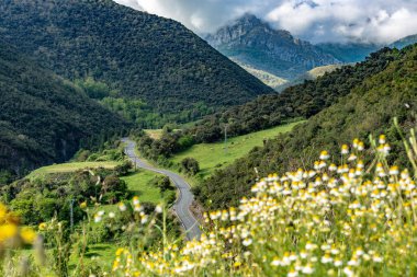 Vega de Liebana, İspanya 'nın kuzeyinde Cantabria eyaletine bağlı bir belediyedir..