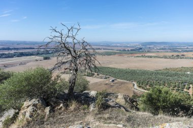 Almodovar del Rio Kalesi, 740 yılında Cordoba, Endülüs, İspanya yakınlarındaki eski bir bina üzerine inşa edilen Arap kalesi.