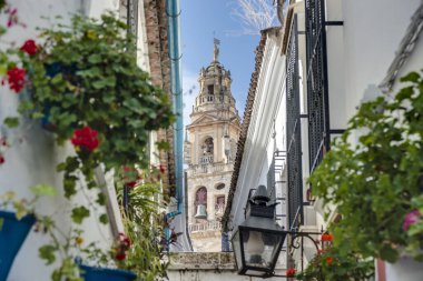 Calleja de las Flores, bir en popüler ve Ulu Cami Andalusia, İspanya yakınındaki Cordoba şehrin sokaklarında turizm.