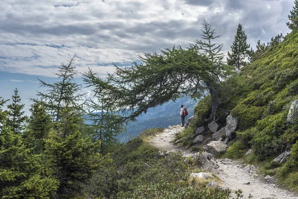 Vandrare Vid Patscherkofels Fjäll Och Skidområde Tyrolen Söder Innsbruck Västra — Stockfoto