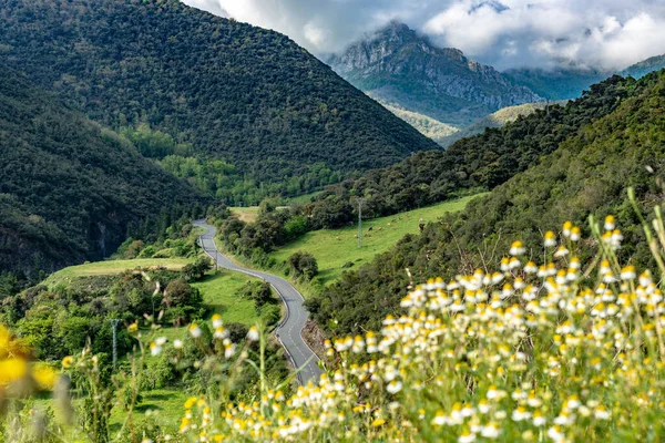 Vega Liebana Spanya Nın Kuzeyinde Cantabria Eyaletine Bağlı Bir Belediyedir — Stok fotoğraf