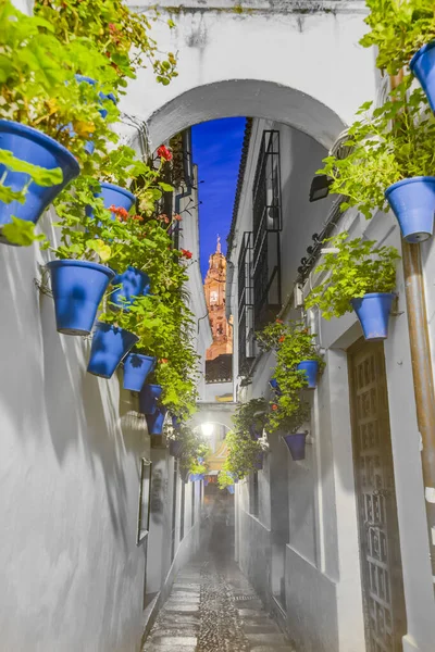 Calleja Las Flores Eine Der Beliebtesten Und Touristischsten Straßen Von — Stockfoto