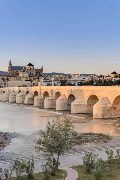 罗马桥 建于公元前第一初横跨瓜河在历史中心的科尔多瓦 安达卢西亚 南西班牙 — 图库照片