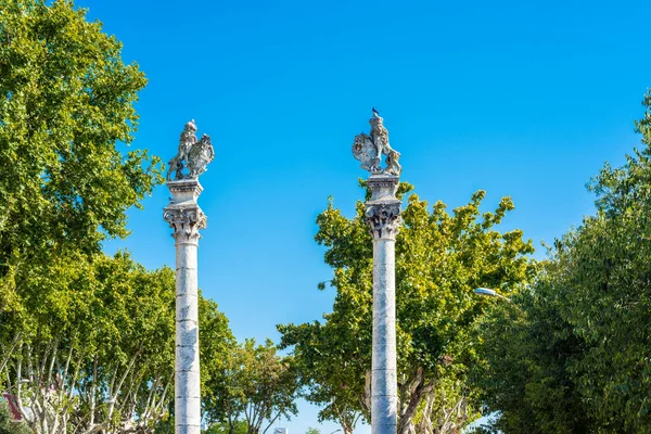 アラメダ ヘラクレスはセビリアの歴史的中心部に位置する重要なモールまたは公共庭園で 1574年 はスペインとヨーロッパで最も古い公共庭園に分類されています — ストック写真