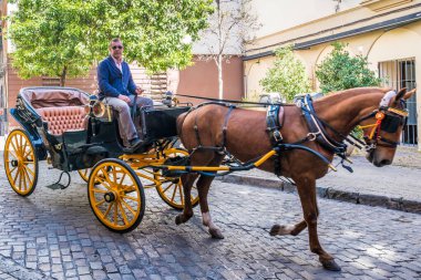 SEVILLE, ES - 9 Mart 2017: At arabası, İspanya 'nın Endülüs kentindeki Seville şehrini gezmenin en klasik yollarından biridir.