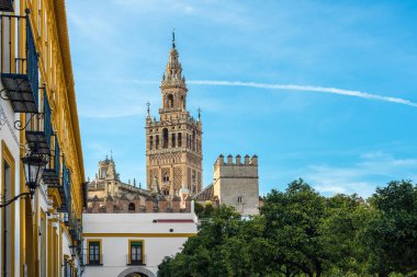 Patio de Banderas, İspanya 'nın Seville kentindeki Reales Alcazares' in çevresinde yer alır..