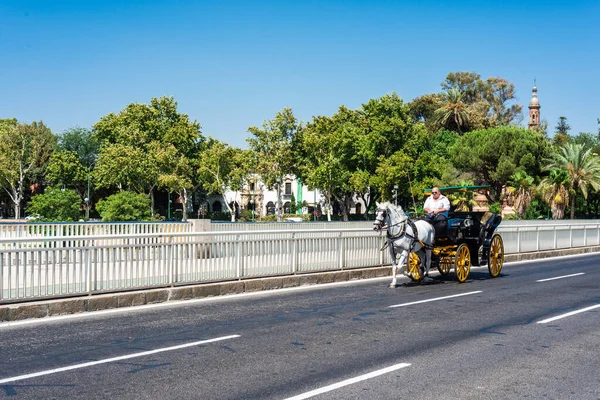 Seville Červenec 2017 Koňské Vozy Přes Ulice Sevilly Andalusii Španělsko — Stock fotografie