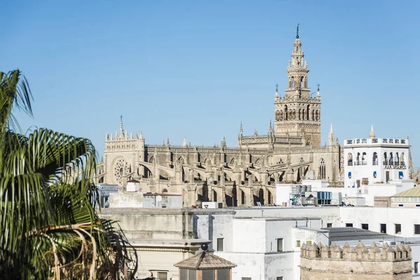 Giralda Giralda Bývalý Minaret Převedeny Zvonice Katedrálou Seville Seville Andalusie — Stock fotografie