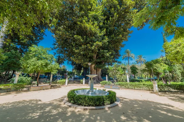 Gärten Von Catalina Rivera Sevilla Andalusien Spanien — Stockfoto