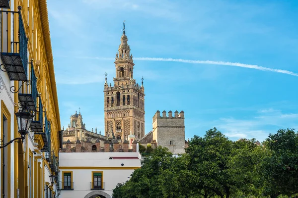 Patio Banderas Spanya Nın Seville Kentindeki Reales Alcazares Çevresinde Yer — Stok fotoğraf
