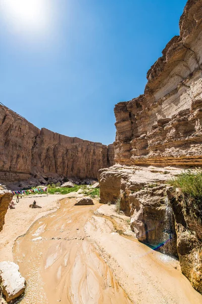 Tamaghza Mars 2017 Kaskad Palmen Tamaghza Nära Tozeur Tunisien — Stockfoto