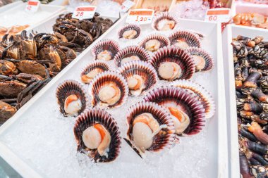Santander, Cantabria, İspanya 'daki De La Esperanza pazarı.