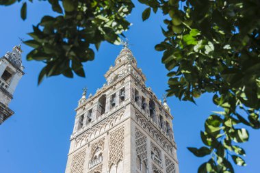 Giralda (La Giralda), Sevilla, Endülüs, İspanya Sevilla Katedrali için bir çan kulesinde dönüştürülen eski bir minare.