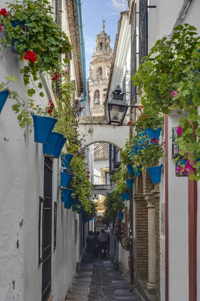 Calleja Las Flores One Most Popular Tourist Streets Cordoba City — Stock Photo, Image