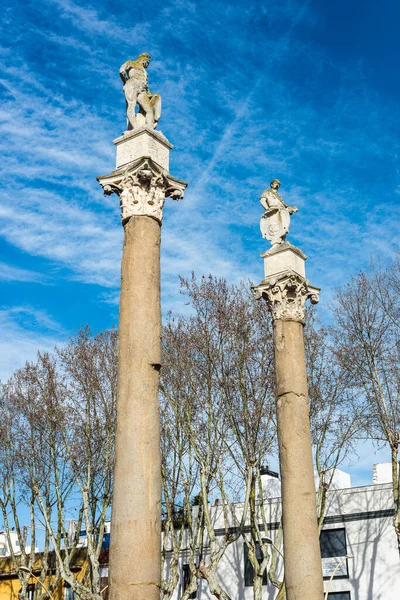 Alameda Hercules Důležitým Nákupním Střediskem Nebo Veřejnou Zahradou Která Sídlí — Stock fotografie