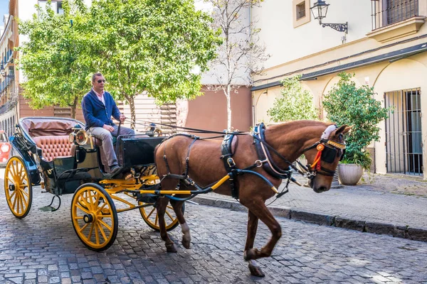 Seville Března 2017 Kočár Pro Koně Jeden Nejklasičtějších Způsobů Prohlídky — Stock fotografie