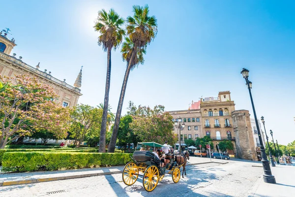 Sevilla Juli 2017 Häst Bilar Genom Gatorna Sevilla Andalusien Spanien — Stockfoto