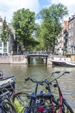 Renkli Bisiklet Amsterdam, Hollanda.