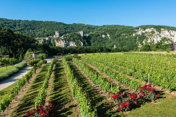 Saint Cirq Lapopie Membro Dell Associazione Les Beaux Villages France — Foto Stock