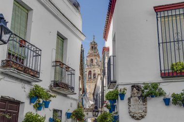 Calleja de las Flores, bir en popüler ve Ulu Cami Andalusia, İspanya yakınındaki Cordoba şehrin sokaklarında turizm.