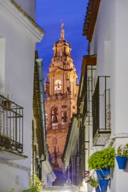 Calleja de las Flores, bir en popüler ve Ulu Cami Andalusia, İspanya yakınındaki Cordoba şehrin sokaklarında turizm.