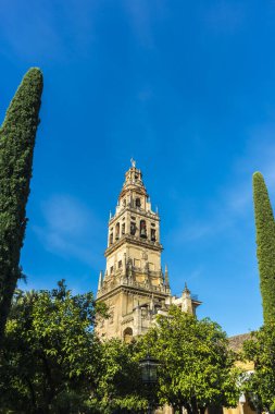 Bir Roma Katolik Hıristiyan Katedrali İspanyol şehri Cordoba, Andalusia Cordoba Camii katedral veya Katedrali varsayım of Our Lady, ortaçağ İslam camiye dönüştürülmüştür.