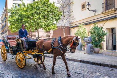 SEVILLE, ES - 9 Mart 2017: At arabası, İspanya 'nın Endülüs kentindeki Seville şehrini gezmenin en klasik yollarından biridir.