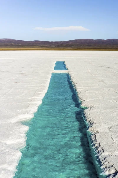 Salt Water Pool Salinas Grandes Salt Flats Jujuy Province Northern — Stock Photo, Image