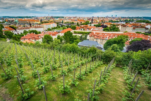 Prag Skyline Çek Cumhuriyeti Nin Başkenti Tarihsel Başkenti Bohemya — Stok fotoğraf