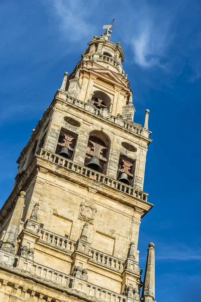 我们的夫人的假定的清真寺大教堂或大教堂 中世纪伊斯兰教的清真寺转换成罗马天主教基督徒大教堂在西班牙城市科尔多瓦 安达卢西亚 — 图库照片