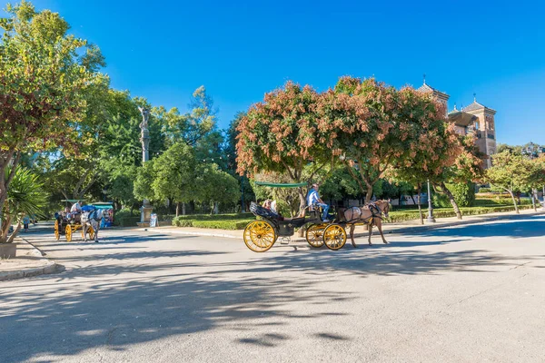 Seville Julho 2017 Carros Cavalo Pelas Ruas Sevilha Andaluzia Espanha — Fotografia de Stock