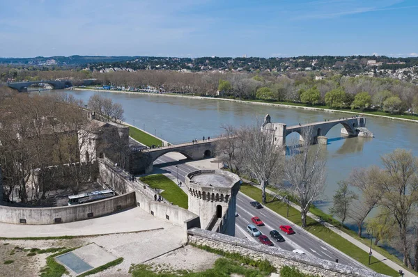 Torre Chiens Vicino Fiume Rodano Avignone Francia — Foto Stock