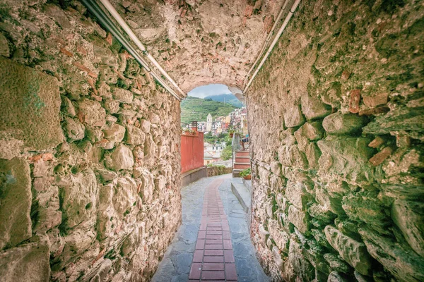 Villaggio Manarola Nelle Cinque Terre Liguria — Foto Stock