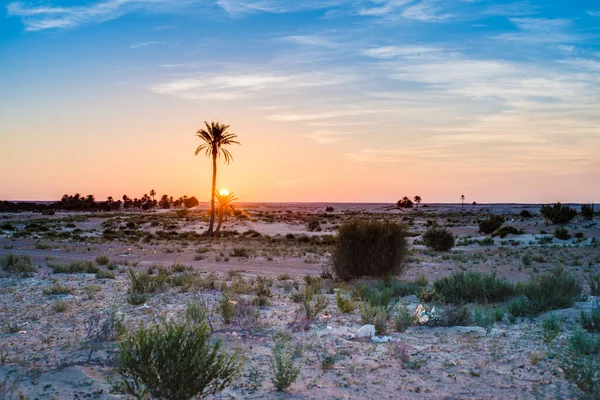 Salida Del Sol Desierto Cerca Douz Kebili Túnez — Foto de Stock