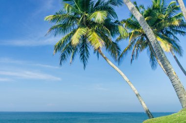 Güzel tropikal plaj. Varkala, Hindistan siyah beach