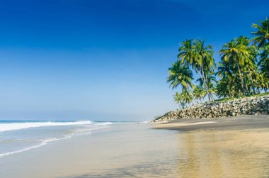 Güzel tropikal plaj. Varkala, Hindistan siyah beach