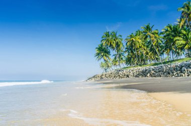 Güzel tropikal plaj. Varkala, Hindistan siyah beach