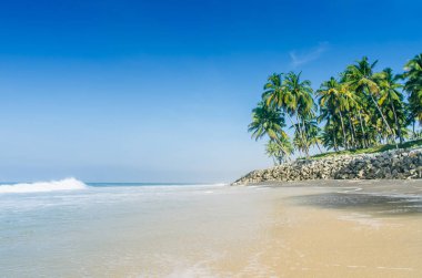Güzel tropikal plaj. Varkala, Hindistan siyah beach