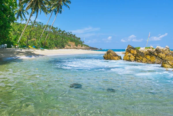 Cocos Palm Tree Prachtige Tropische Strand Sri Lanka — Stockfoto