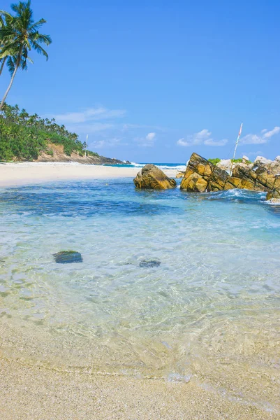 Kokospalme Schönen Tropischen Strand Sri Lanka lizenzfreie Stockfotos