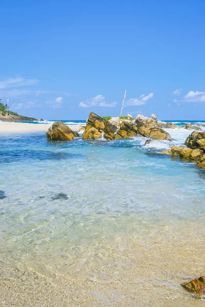 Кокосова Пальма Красиві Тропічні Пляжі Шрі Ланці Ліцензійні Стокові Зображення