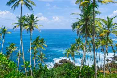 Gizli plaj Mirissa, Sri Lanka