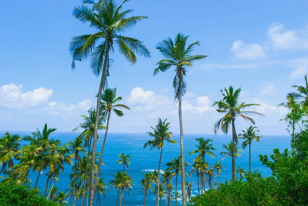 Secret beach in Mirissa, Sri Lanka — Stock Photo, Image